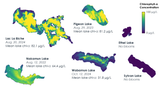 Map of peak blooms modeled for the 6 project lakes between 2017 - 2024.